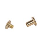 Special fastening screw, gold