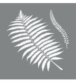 Stencil Botanic