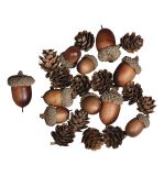 Acorn cone mix