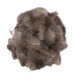 Decorative feather