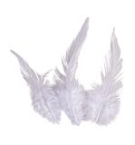 Trendy feather