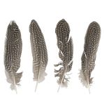 Decorative feathers