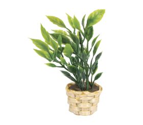Decorative mini plant