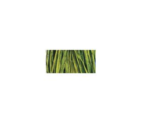 Raffia natural, may-green