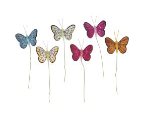 Butterfly of feathers