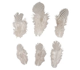 Decorative feathers zebra pattern