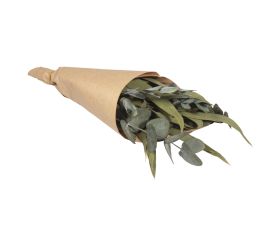 Eukalyptus Bund mit Papiermanschette