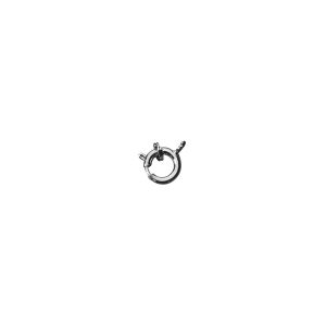 Federringe m.Spaltring, 9mm ø