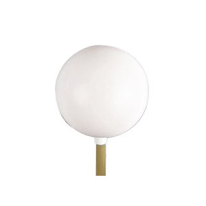 Platic ball with neck