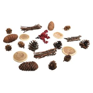 Naturmix mit Zapfen