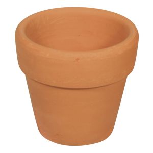 Terracotta pot