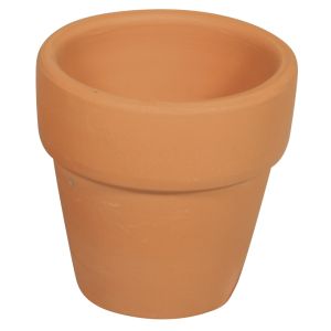 Terracotta pot