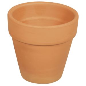 Terracotta pot