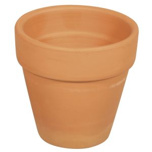 Terracotta pot
