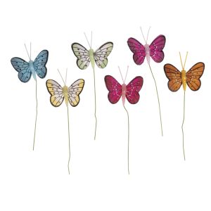 Federschmetterling