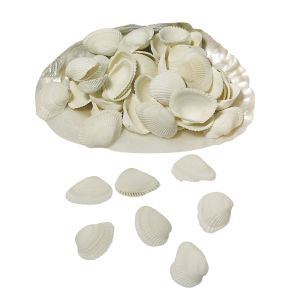 Clovis-Muscheln