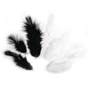 Feather mix