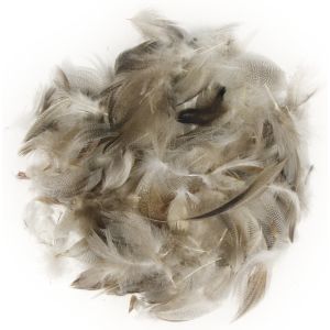 Feather mix