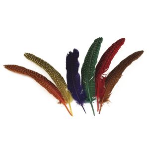 Feather with spots