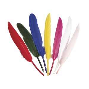 Indian feathers