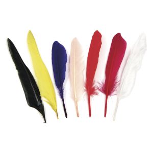 Indian feathers