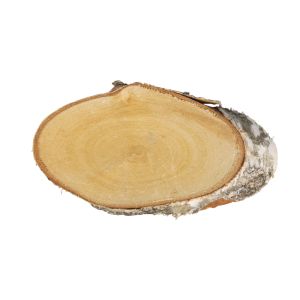 Birken Scheibe oval natur