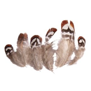 Decorative feathers