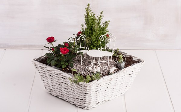 Mini Gardening