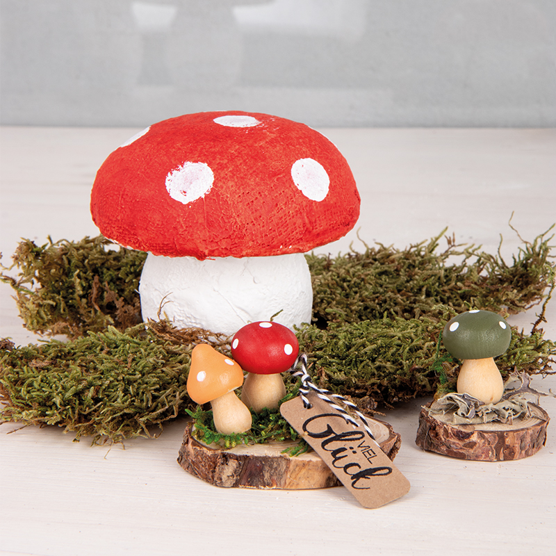 Holzpilze auf Pinienscheiben