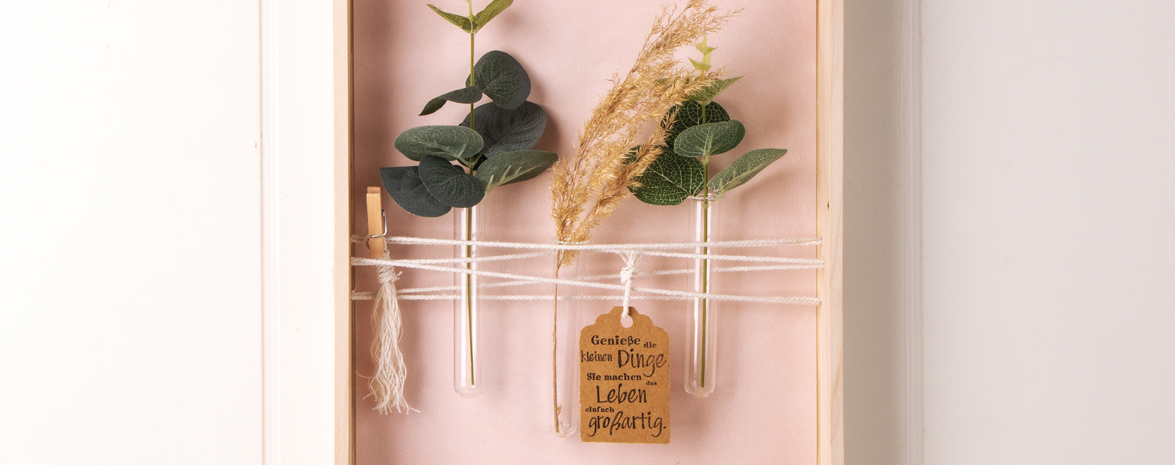 Wooden frame with test tubes