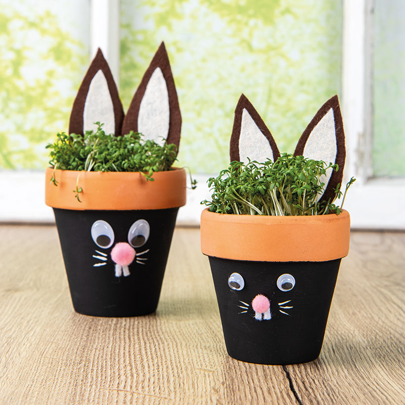 Kressetöpfchen Hasen