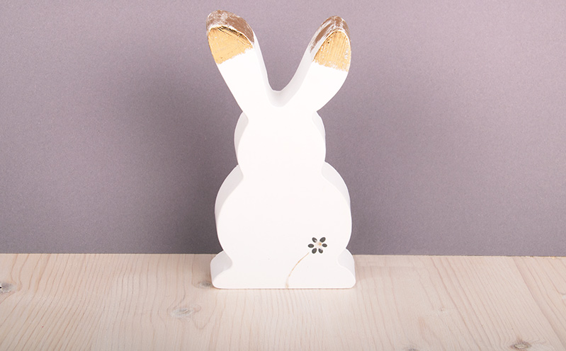 Raysin Hase