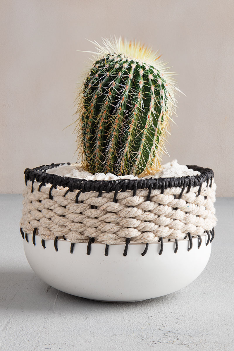 Raysin bowl with cotton cord