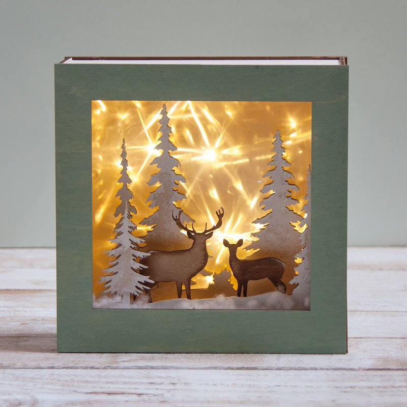 Your story – in a box: Winterland