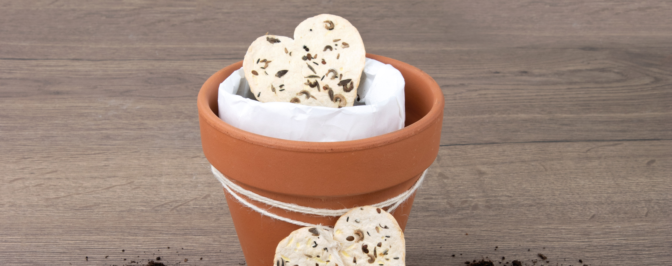 Clay pot with seed heart